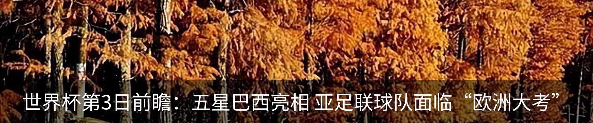 行业资讯