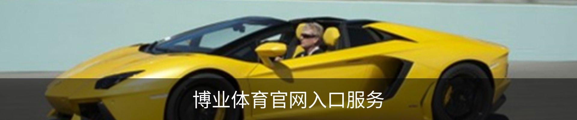 博业体育官网入口服务